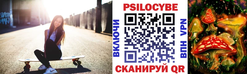 купить   Саяногорск  Псилоцибиновые грибы мицелий 