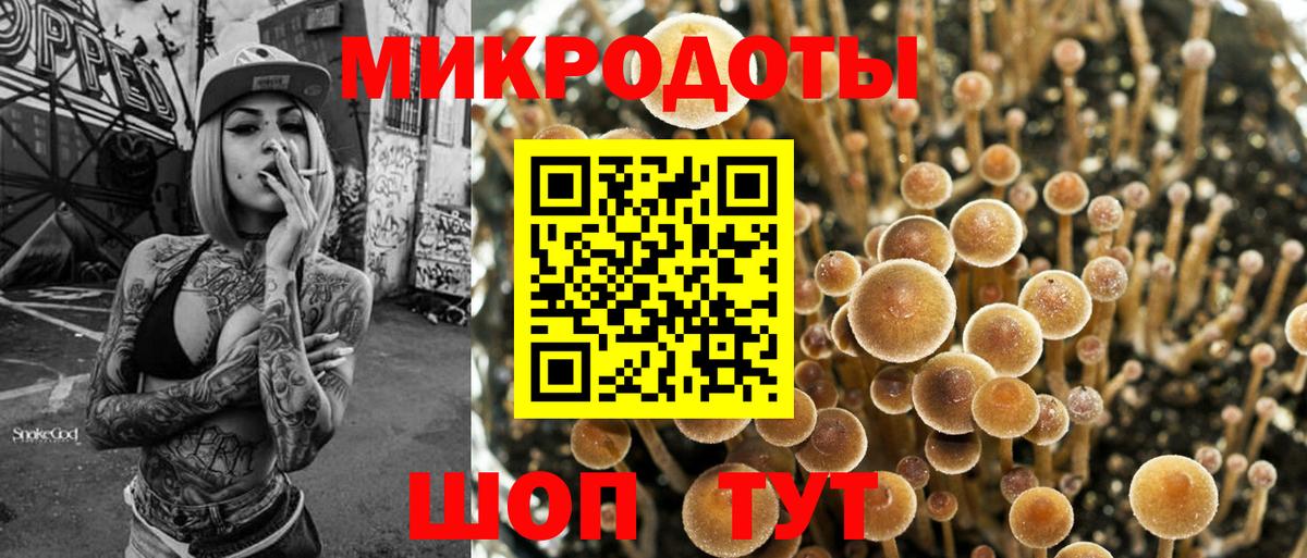 Галлюциногенные грибы Cubensis Саяногорск