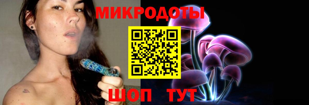 Галлюциногенные грибы Psilocybe Саяногорск